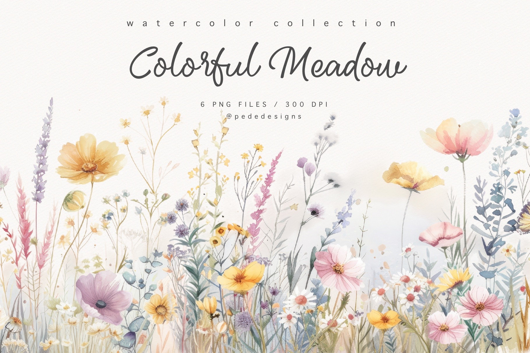 Watercolor Wildflower Clipart: Meadow Floral Frame (PNG Digital ...