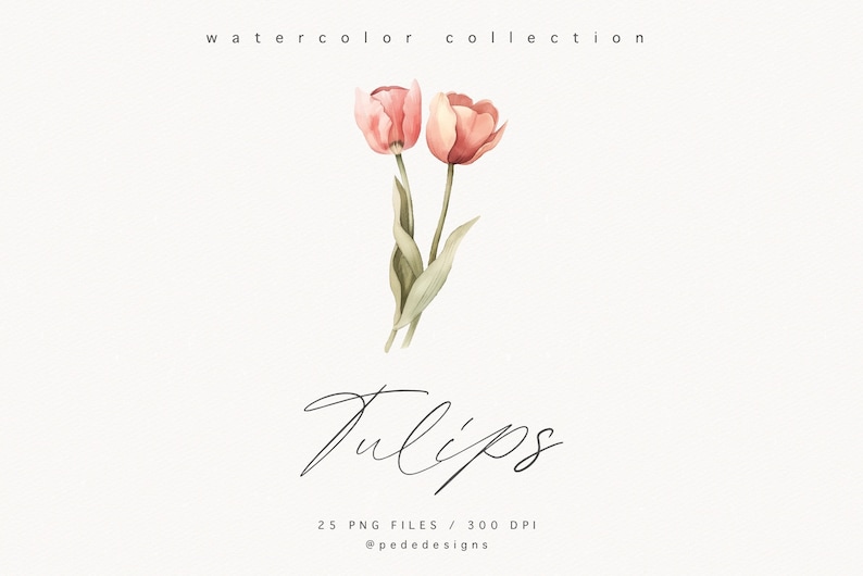 May include: Watercolor illustration of two pink tulips with green stems and leaves. The image is titled "Tulips" and includes the text "25 PNG Files / 300 DPI @pededesigns".