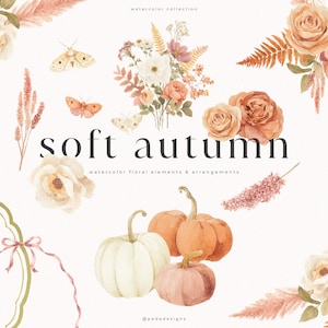 Op de afbeelding: Een collectie aquarelillustraties met oranje en witte pompoenen, diverse rozen, varens en motten. De tekst luidt soft autumn watercolor collection en watercolor floral elements & arrangements met de handle @pededesigns.