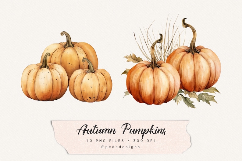 Op de afbeelding: Een set met aquarel illustraties van pompoenen. De pompoenen zijn oranje en bruin met een getextureerd oppervlak. Er zijn drie pompoenen in de ene groep en twee in de andere. De pompoenen zijn omringd door groene bladeren en bruin gras.