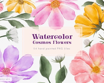 Watercolor cosmos flowers clip art, floral clipart, watercolor wild flowers, planner stickers, botanical png, watercolor clipart, download