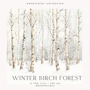 Winter Birch Forest, aquarel winterlandschap, bomenlandschap, bosrijke png, winter png-afbeeldingen, boslandschap, winter clipart, download