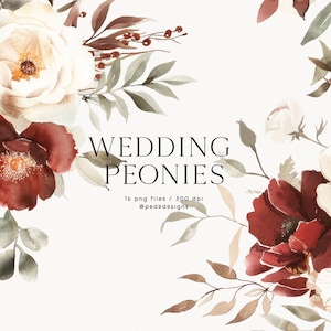 Pivoines de mariage, fleurs ivoire à l'aquarelle, clipart floral bordeaux, clipart bouquet de mariage, compositions florales, cadre esthétique, téléchargement