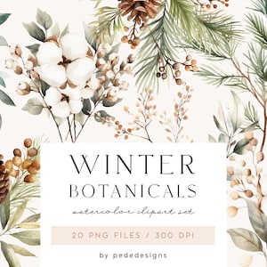 Winter Botanicals, Aquarell Winter Cliparts, Winter Blumen Cliparts, Weihnachtszeit, Planer Aufkleber, Laub, Zapfen, Baumwolle, Download