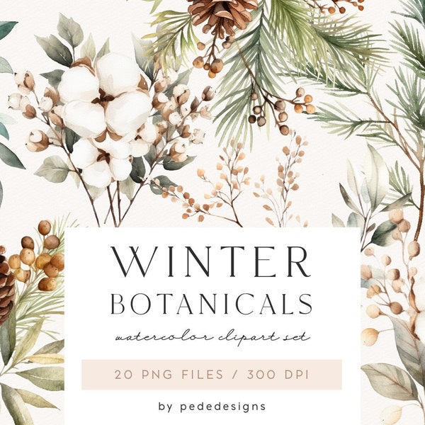 Botánicos de invierno, imágenes prediseñadas de invierno de acuarela, imágenes prediseñadas florales de invierno, tiempo de Navidad, pegatinas de planificador, follaje, cono, algodón, descargar