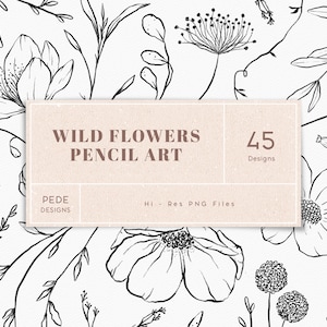 Wilde Blumen Illustrationen, Wiese Clip Art, handgezeichnete Blumen Clipart, Hochzeit, Logo Elemente, Skizze wilde Blume, botanische, download