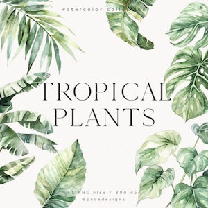 Tropical Plants, watercolor clipart, palm tree, tropical elements, banana tree, monstera leaves, exotic greenery, wedding invite, download