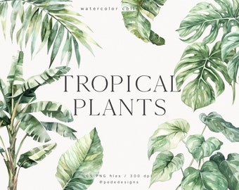 Plantes tropicales, clipart aquarelle, palmier, éléments tropicaux, bananier, feuilles de monstera, verdure exotique, faire-part de mariage, téléchargement