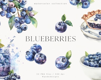 Blueberries Clipart, watercolor food clipart, fruit clipart, vege, smoothie, juice, tasty clipart, watercolor summer graphics, download