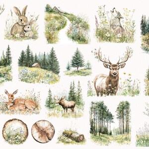 May include: A collection of watercolor illustrations featuring woodland animals and scenes. The illustrations include a deer, a rabbit, a wolf, a squirrel, a fox, a moose, and a variety of trees and flowers.