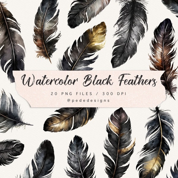 Watercolor black feathers clip art, feathers with gold, multicolor feathers, raven feathers, png graphics, scrapbook, download