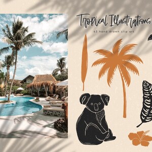 May include: A set of 63 hand-drawn tropical illustrations, including a toucan, palm tree, koala, hibiscus flower, and various leaves. The illustrations are in black and white with some orange accents.