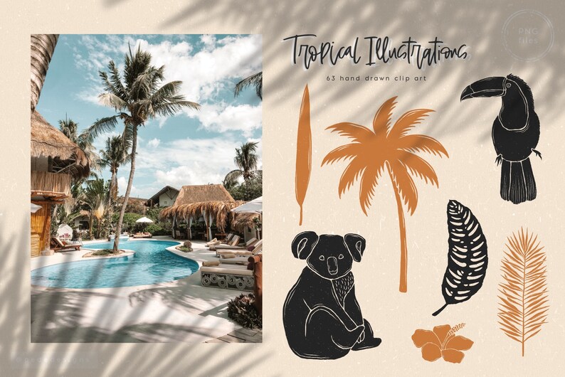 May include: A set of 63 hand-drawn tropical illustrations, including a toucan, palm tree, koala, hibiscus flower, and various leaves. The illustrations are in black and white with some orange accents.