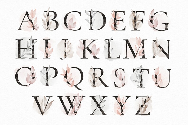 May include: A watercolor alphabet with black letters and pink and gray floral accents.