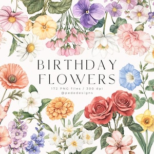 Flores de cumpleaños, imágenes prediseñadas de acuarela, flores de nacimiento, imágenes png, arte floral del mes de nacimiento, lirio, rosa, peonía, margarita, mariposas, descargar