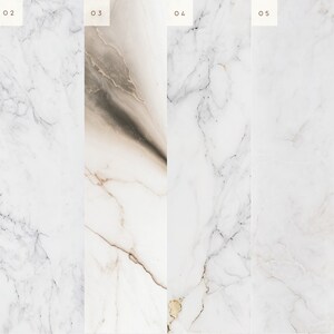 May include: Six different samples of white marble with varying veining patterns. The samples are labeled 01 through 06.