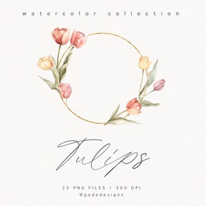 May include: A watercolor illustration of a wreath of pink, peach, and yellow tulips with green leaves. The wreath is surrounded by a gold circle. The text "Tulips" is written in cursive below the wreath. The text "25 PNG Files / 300 DPI" and "@pededesigns" is written below the text "Tulips".
