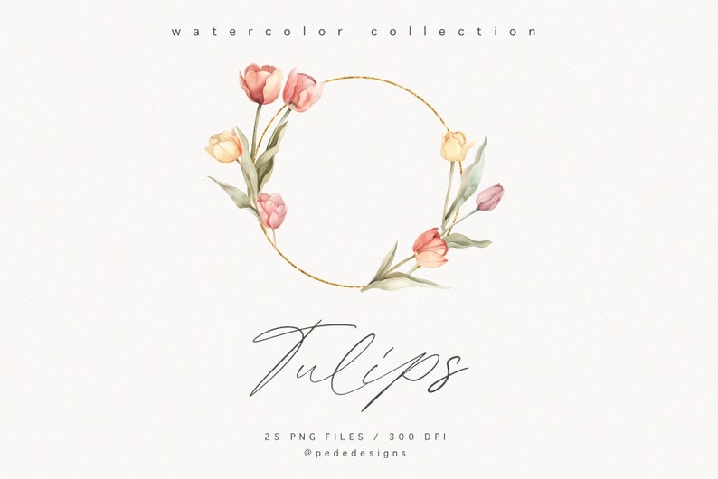 May include: A watercolor illustration of a wreath of pink, peach, and yellow tulips with green leaves. The wreath is surrounded by a gold circle. The text "Tulips" is written in cursive below the wreath. The text "25 PNG Files / 300 DPI" and "@pededesigns" is written below the text "Tulips".