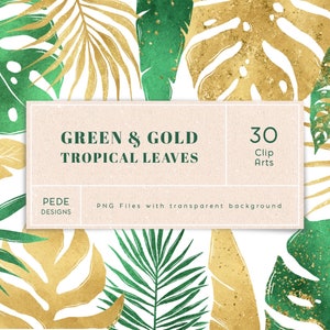 Clipart de folhas tropicais verdes e douradas, botânico, monstera, folha de ouro, folha verde, folhagem, clipart de folha de palmeira, folhas da selva, baixar