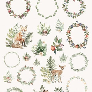 K&ouml;nnte beinhalten: Aquarell-Illustrationen einer Waldszene mit Tieren, Pflanzen und Kr&auml;nzen. Zu den Tieren geh&ouml;ren ein Fuchs, ein Reh, ein B&auml;r, ein Waschb&auml;r und ein Eichh&ouml;rnchen. Zu den Pflanzen geh&ouml;ren Farne, Bl&auml;tter, Beeren und Pilze. Die Kr&auml;nze sind aus Bl&auml;ttern und Beeren gefertigt.