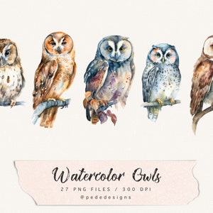 Watercolor owls clip art, boho png, fantasy clipart, bird png, nature clip art, mystical, woodland art, owl illustration, download image 4