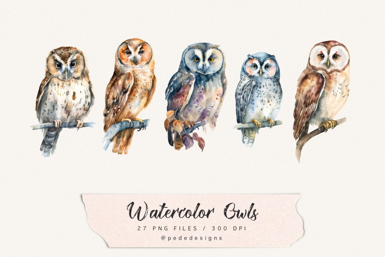 Watercolor owls clip art, boho png, fantasy clipart, bird png, nature clip art, mystical, woodland art, owl illustration, download image 4