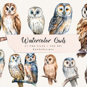 Watercolor owls clip art, boho png, fantasy clipart, bird png, nature clip art, mystical, woodland art, owl illustration, download image 1