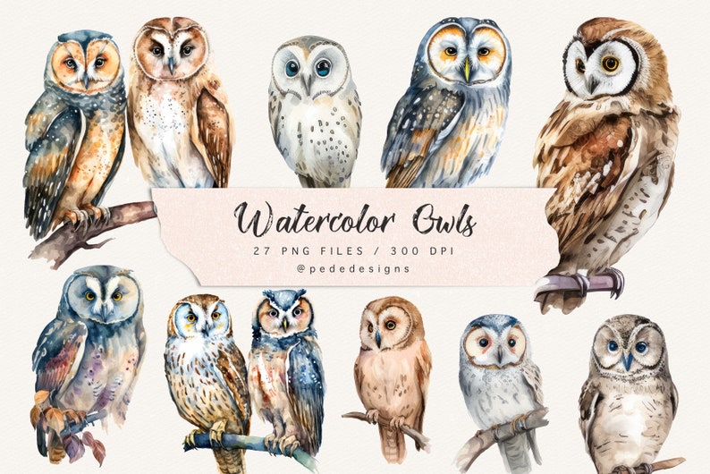 Watercolor owls clip art, boho png, fantasy clipart, bird png, nature clip art, mystical, woodland art, owl illustration, download image 1