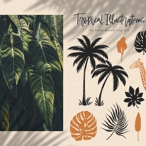 May include: A set of 63 hand-drawn tropical illustrations, including palm trees, leaves, a giraffe, and a star. The illustrations are in black, white, brown, and orange.