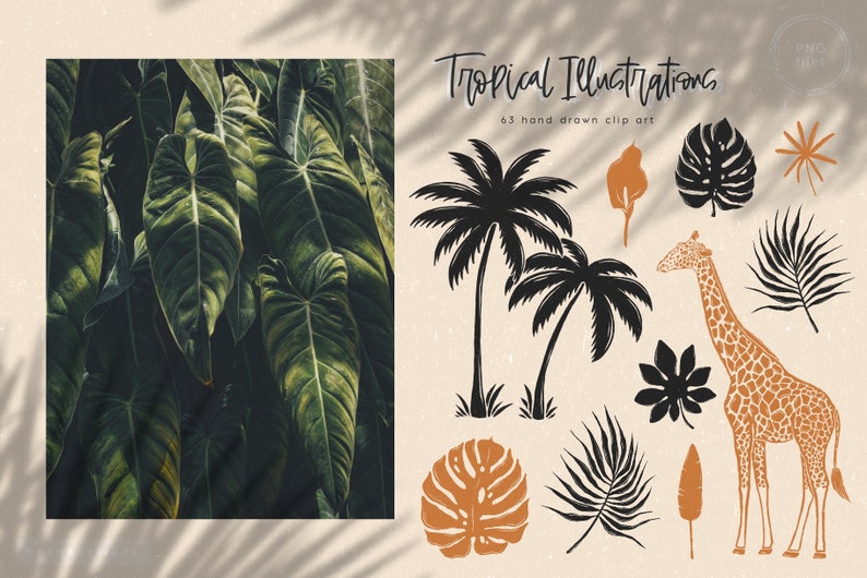 May include: A set of 63 hand-drawn tropical illustrations, including palm trees, leaves, a giraffe, and a star. The illustrations are in black, white, brown, and orange.