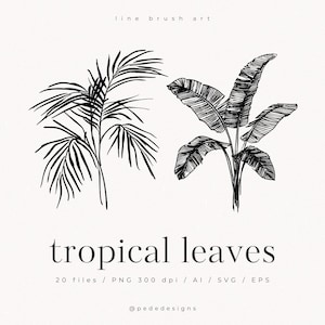 Dessin au trait au pinceau, clipart de feuilles tropicales, graphisme exotique, dessin au trait, trait fin, svg d'été, pinceau à encre, bananier, png de voyage, téléchargement