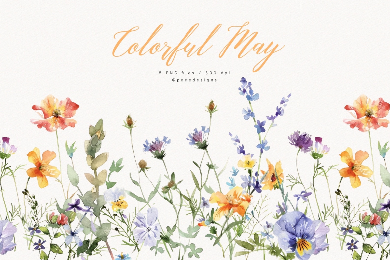 Colorful May, Spring Flowers, Watercolor Wild Floral Clipart ...