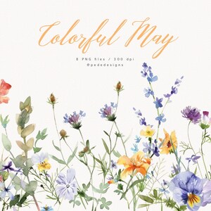 Colorful May, Spring Flowers, Watercolor Wild Floral Clipart ...