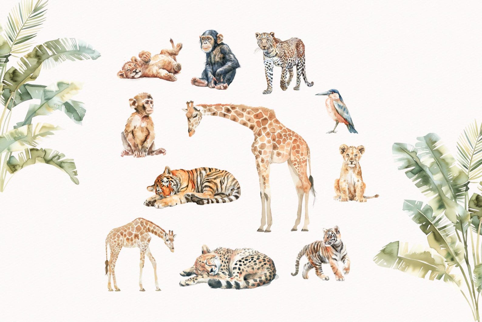Watercolor Safari Animals Clipart: Jungle Baby Animals PNG (digital ...