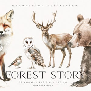Aquarelle d'animaux de la forêt - Forest Story Collection, graphiques de la forêt, aquarelle de cerf, clipart png d'ours, animaux de la forêt, renard, téléchargement