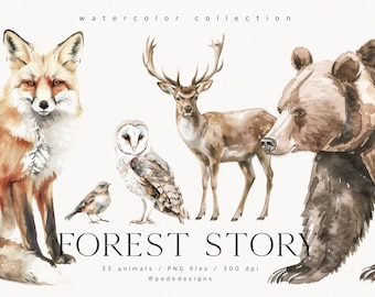 Watercolor Forest Animals - Forest Story Collection, woodland graphics, watercolor deer, bear png clipart, woodland animals, fox, download