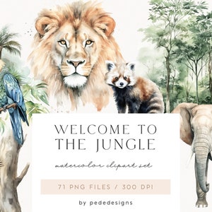 Bienvenido a la jungla, imágenes prediseñadas de acuarela, imágenes prediseñadas exóticas, elementos tropicales, animales de la selva, imágenes prediseñadas de verano, pegatinas del planificador, descargar