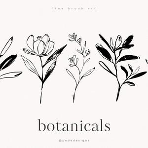 以下が含まれることがあります： 5つの黒いインクの植物イラストのコレクションで、様々な葉や花が横一列に並んでいます。上部には「line brush art」というテキストがあり、下部には「botanicals」という単語と「@pededesigns」が印刷されています。