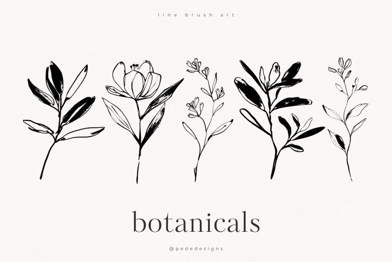 以下が含まれることがあります： 5つの黒いインクの植物イラストのコレクションで、様々な葉や花が横一列に並んでいます。上部には「line brush art」というテキストがあり、下部には「botanicals」という単語と「@pededesigns」が印刷されています。