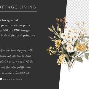 May include: Watercolor floral arrangement featuring white daisies, yellow sunflowers, and various greenery. The image includes text that reads "COTTAGE LIVING" and details about the product, such as "transparent background" and "high quality 300 dpi PNG images."