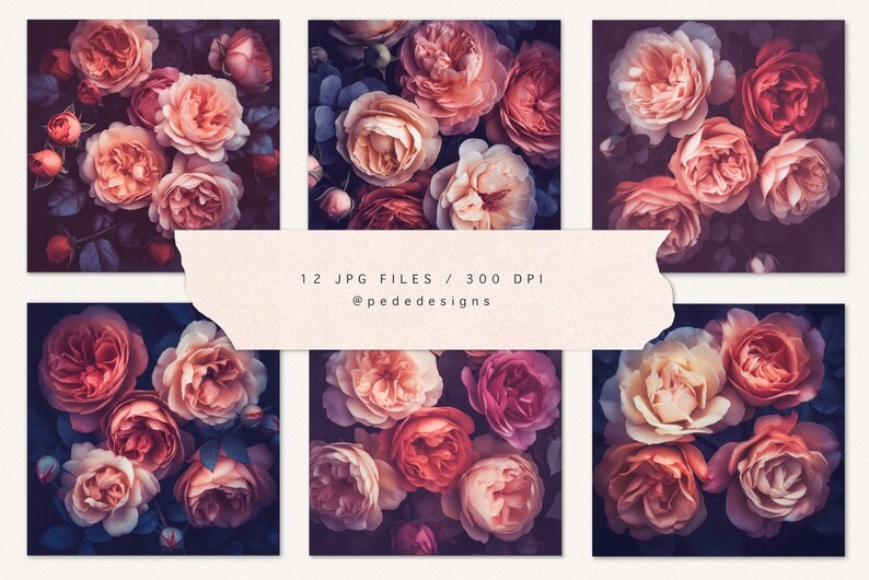 Wild Roses Backgrounds, Roses Backdrop, Rustic Flowers, Roses Wallpaper ...