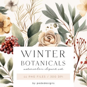 Botanici invernali, clipart ad acquerello, fiori invernali, foglie e rami, periodo natalizio, adesivi per pianificatore, fogliame invernale, download
