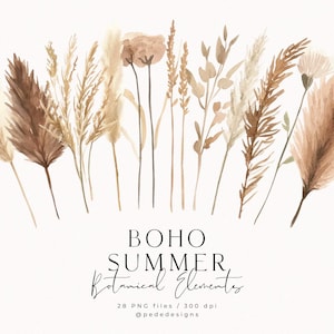 Botanische elementen uit Boho Summer Collection, aquarel clipart, neutraal, beige, handgeschilderd pampagras, digitale stickers, download