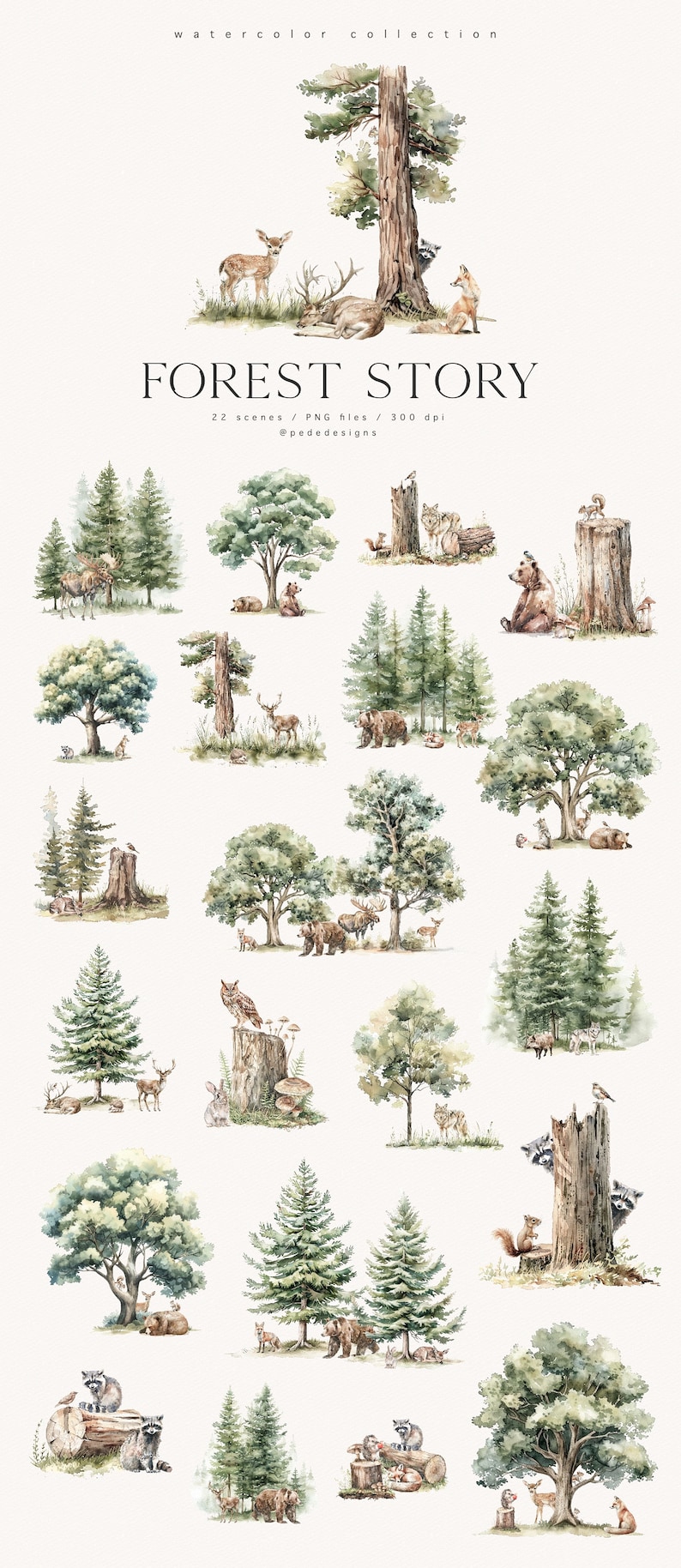 K&ouml;nnte beinhalten: Aquarell-Illustrationen einer Waldszene mit verschiedenen Tieren, darunter Hirsche, B&auml;ren, Waschb&auml;ren, Eichh&ouml;rnchen und ein Wolf. Die Illustrationen sind vor einem wei&szlig;en Hintergrund platziert und zeigen eine Vielzahl von B&auml;umen, darunter Kiefern und Eichen.
