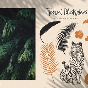 May include: Tropical illustrations clip art set featuring a tiger, toucan, palm leaves, and other tropical elements.  63 hand drawn clip art images.