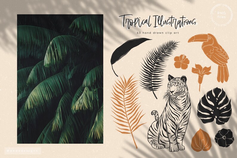 May include: Tropical illustrations clip art set featuring a tiger, toucan, palm leaves, and other tropical elements.  63 hand drawn clip art images.