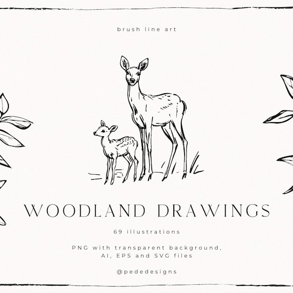 Woodland Drawings, brush line art, forest clipart, vector files, png, svg files, hand drawn elements, deer, bear, raccoon, rabbit, download