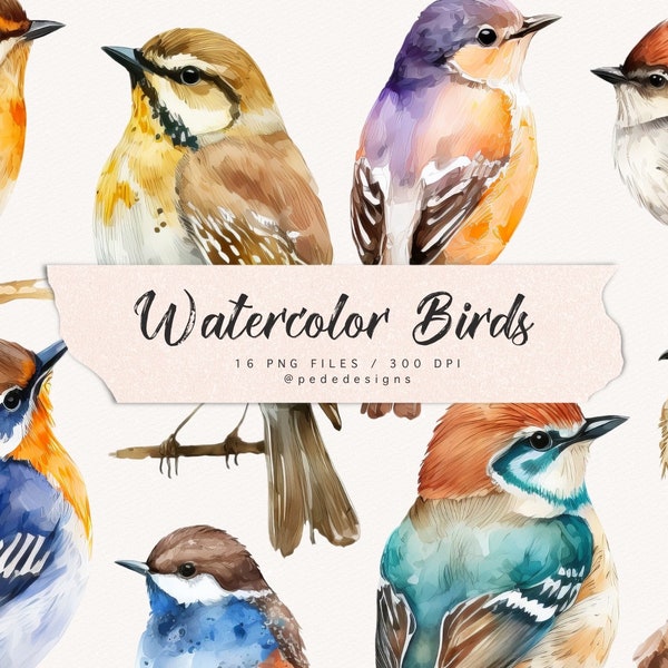 Watercolor birds clip art, tiny colorful birds clipart, bird png, spring clip art, spring clipart, woodland art, bird illustration, download