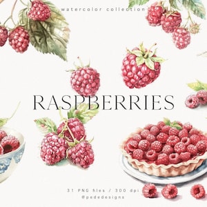 Raspberries Clipart, watercolor food clipart, fruit clipart, vege, smoothie, cake, dessert clipart, watercolor summer graphics, download