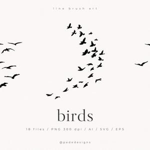 Art au pinceau au trait, clipart oiseaux en vol, graphiques png silhouette, graphiques de volée d'oiseaux, pinceau à encre, scrapbook png, oiseaux noirs, svg, téléchargement